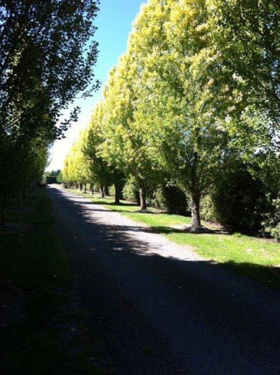 The Meadows Villa Christchurch Esterno foto
